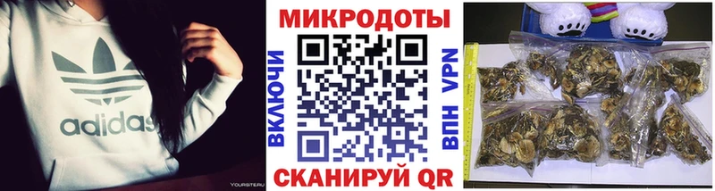 Галлюциногенные грибы GOLDEN TEACHER продажа наркотиков Яровое